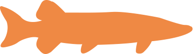 fish-icon-400px
