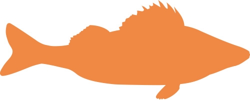 walleye-fish-icon-400px